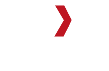 N3xt Step Global logo