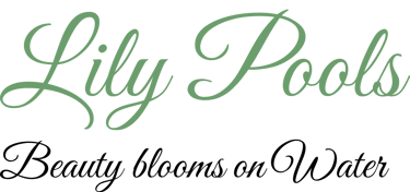 LilyPools logo