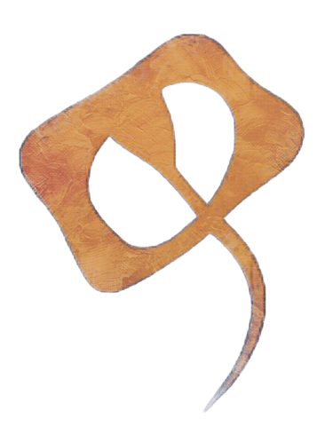 Steel Canvas Gallery logo