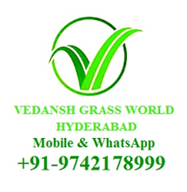 IndiaMart Grass World Hyderabad logo