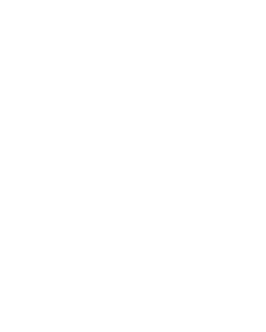 Zennith Media logo