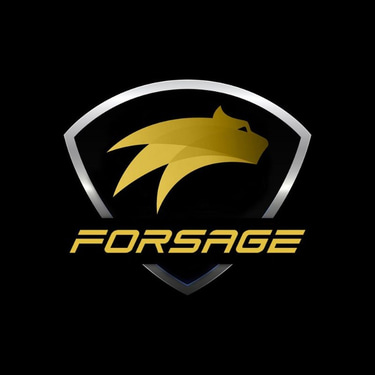 Forsage logo