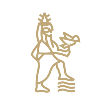 The Visionary Movement logo