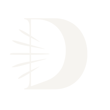 DEBO logo