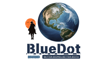 Tarzan The Transformative Explorer logo