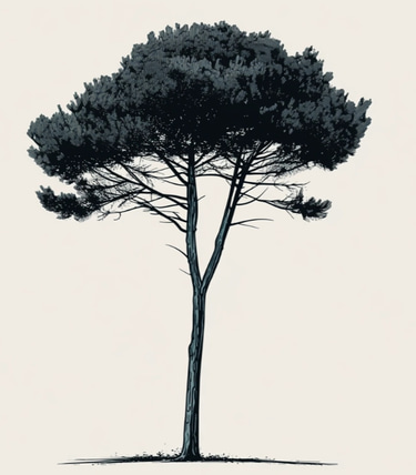 logement du pînier logo