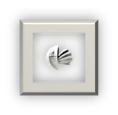 INNOVATION STRATEGIST logo