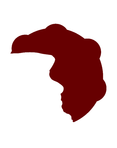 Eduardo Vessella logo
