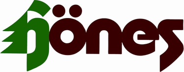 THE HOENES FAMILY FOUNDATION, INC. logo