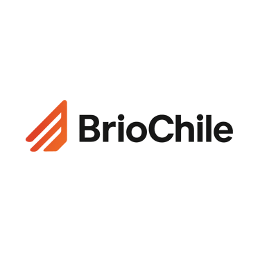 Brio logo
