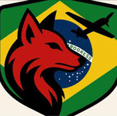 SAVAGEFOX AIRCRAFT logo