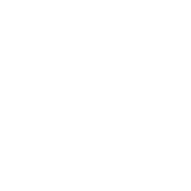 NouvoVerno logo