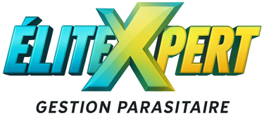 ÉliteXpert logo
