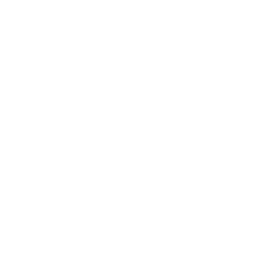 Anez Ka Arts logo