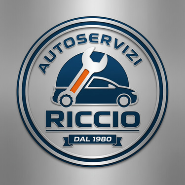 auroservizi riccio logo