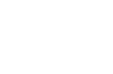 REYDEN logo