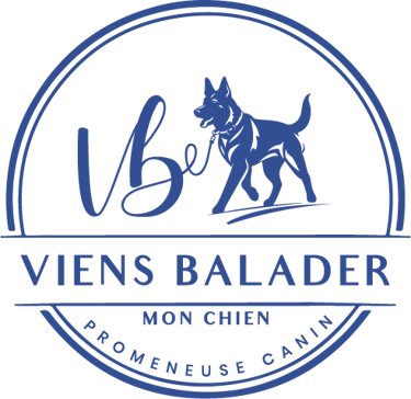 Viens Balader mon chien logo