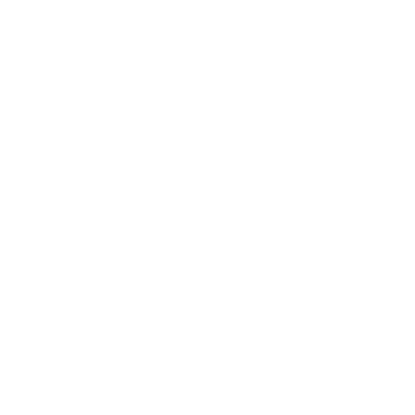 SAugment logo