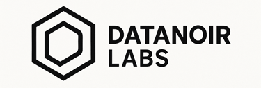 DataNoir Labs logo