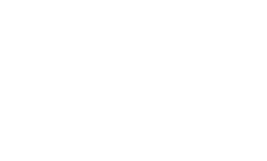 Best Version logo
