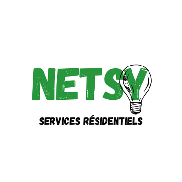 netsy logo