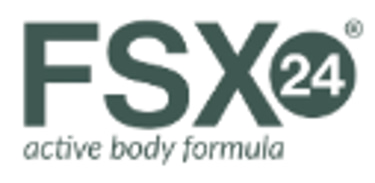 FSX24 logo