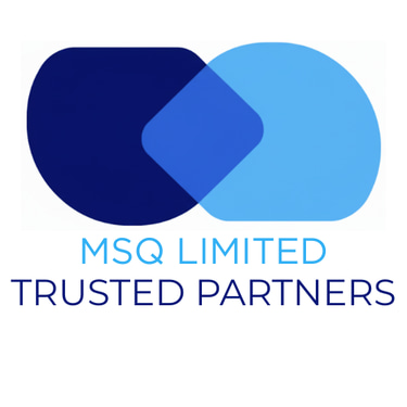 MSQ Partners logo