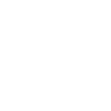 NSI Clean logo