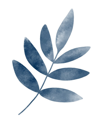 Roland Auer, A Sane Space, Life Coach, Heilpraktiker logo