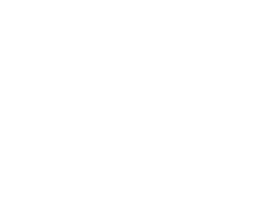 Steamany logo