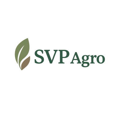 Sviluppi logo