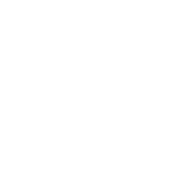 Te Kinezi logo