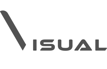 Voz Visual logo