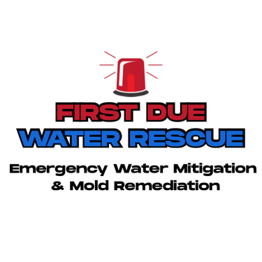 First Due Water Rescue logo