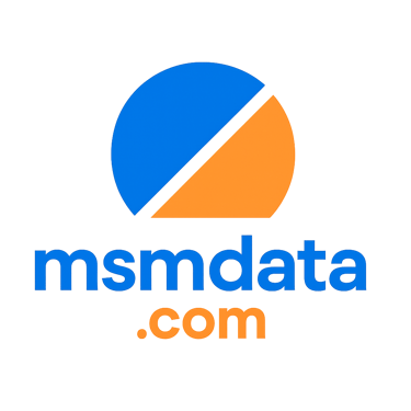 MSM DATA logo