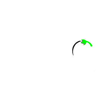 VFC PREMIUM logo