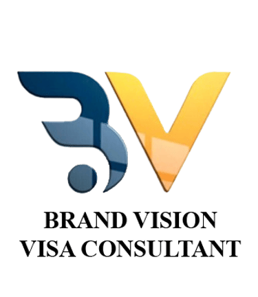 BRAND VISION VISA CONSULTANAT logo