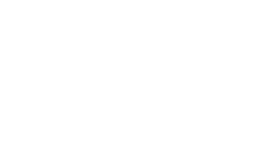 Sattori logo
