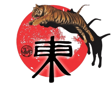 Higashi Karate logo