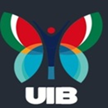 UIB SERVICE AND MULTICENTRE LTD. logo