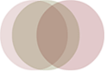 Praxis Susanne Stühmeier logo