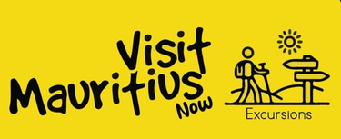 Visit Mauritius Now logo