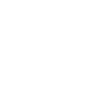 Southside Youth Development logo