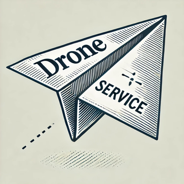 Drone Service logo