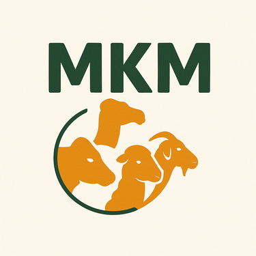 MKM Company logo