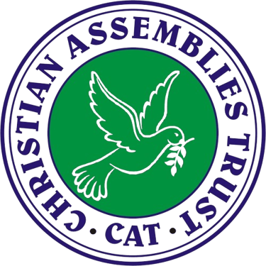C A T INDIA  logo
