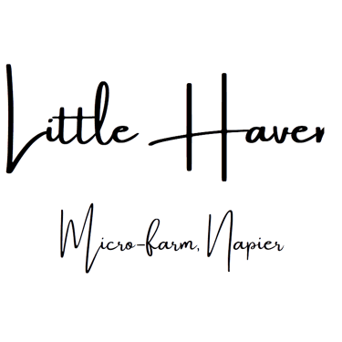 Little Haven logo
