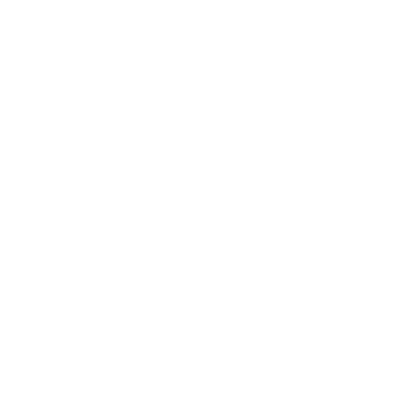 workwithally logo
