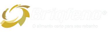 Briqfeno Indústria e Comércio de Feno logo