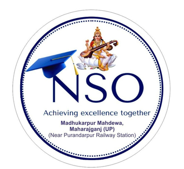 NSO Public School logo